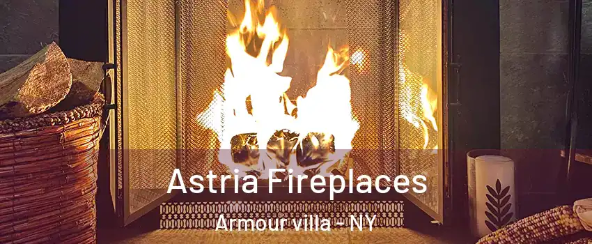 Astria Fireplaces Armour villa - NY