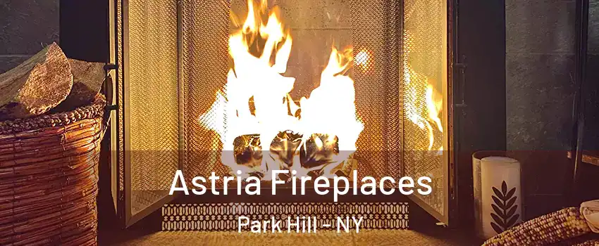 Astria Fireplaces Park Hill - NY