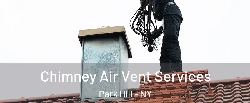 Chimney Air Vent Services Park Hill - NY