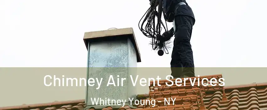 Chimney Air Vent Services Whitney Young - NY