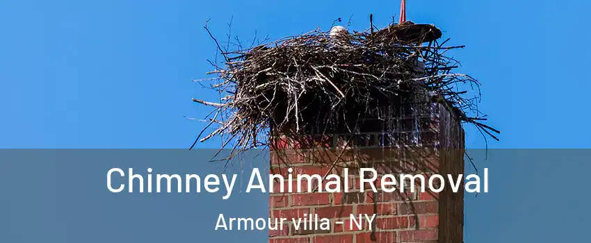 Chimney Animal Removal Armour villa - NY