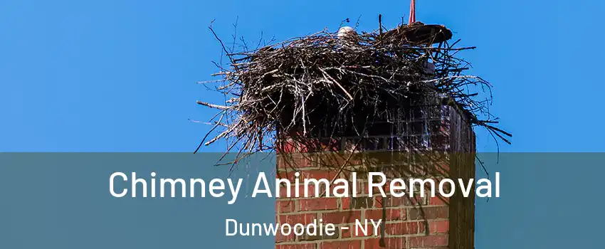 Chimney Animal Removal Dunwoodie - NY