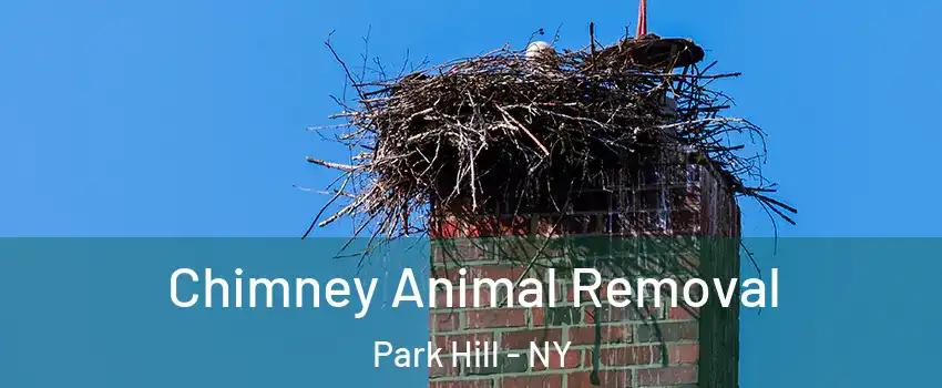 Chimney Animal Removal Park Hill - NY