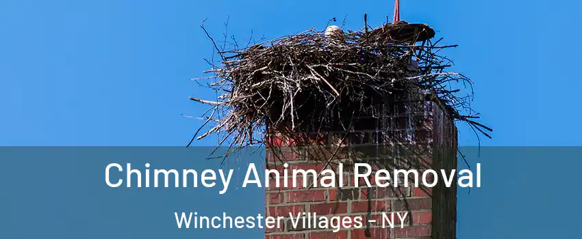 Chimney Animal Removal Winchester Villages - NY