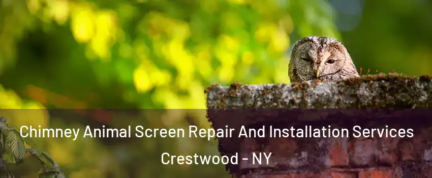 Chimney Animal Screen Repair And Installation Services Crestwood - NY