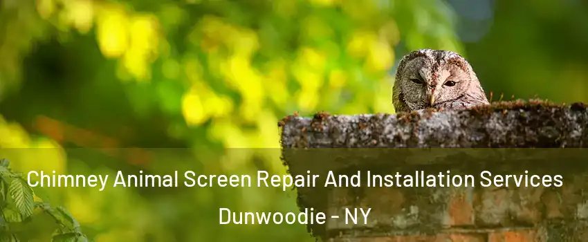 Chimney Animal Screen Repair And Installation Services Dunwoodie - NY