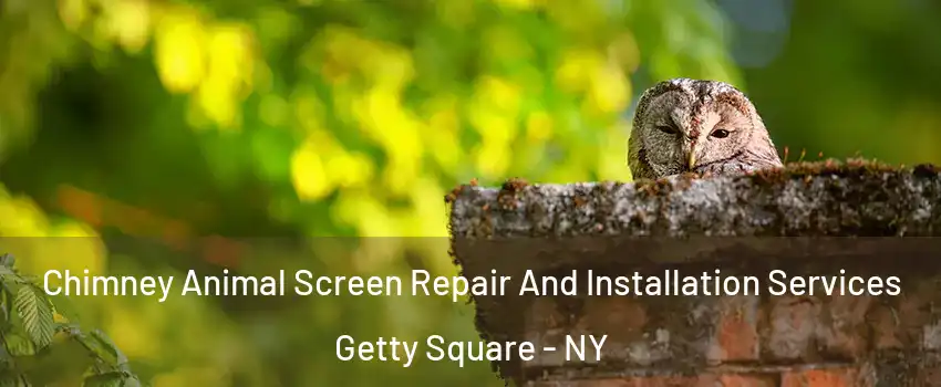 Chimney Animal Screen Repair And Installation Services Getty Square - NY