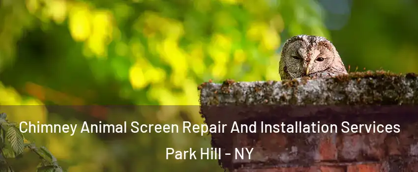 Chimney Animal Screen Repair And Installation Services Park Hill - NY
