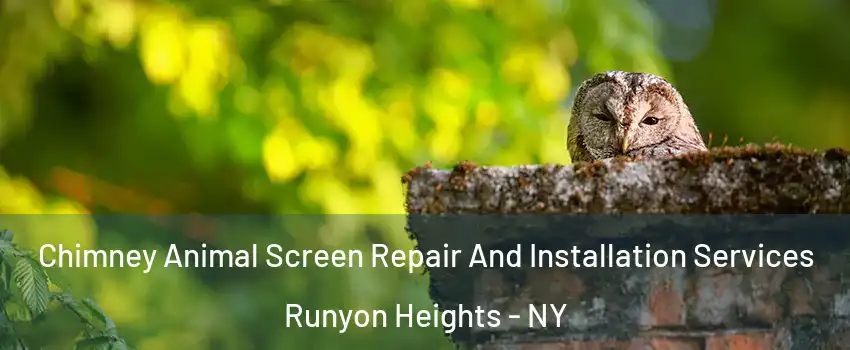 Chimney Animal Screen Repair And Installation Services Runyon Heights - NY