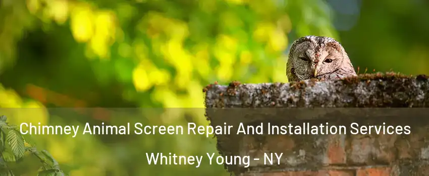 Chimney Animal Screen Repair And Installation Services Whitney Young - NY