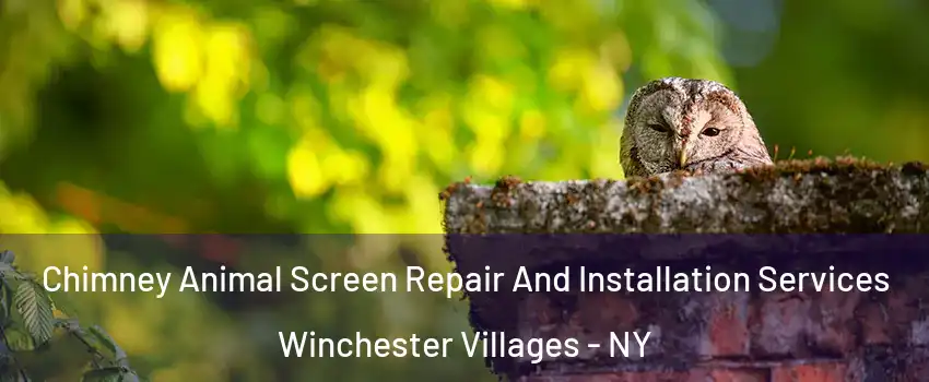 Chimney Animal Screen Repair And Installation Services Winchester Villages - NY