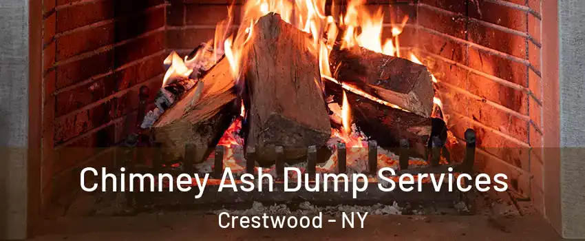 Chimney Ash Dump Services Crestwood - NY