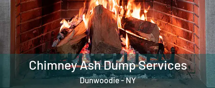 Chimney Ash Dump Services Dunwoodie - NY