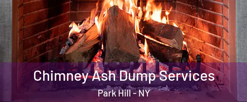 Chimney Ash Dump Services Park Hill - NY