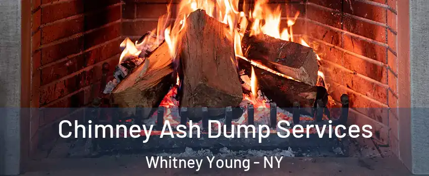 Chimney Ash Dump Services Whitney Young - NY