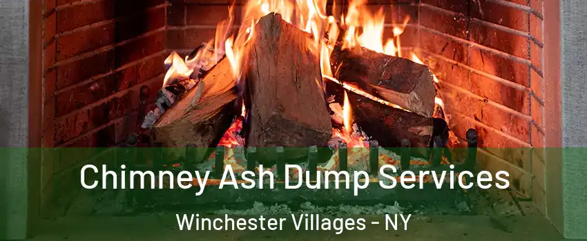 Chimney Ash Dump Services Winchester Villages - NY