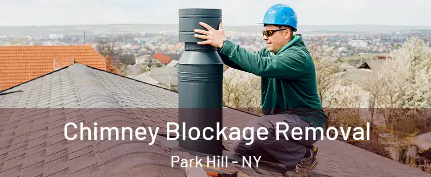 Chimney Blockage Removal Park Hill - NY