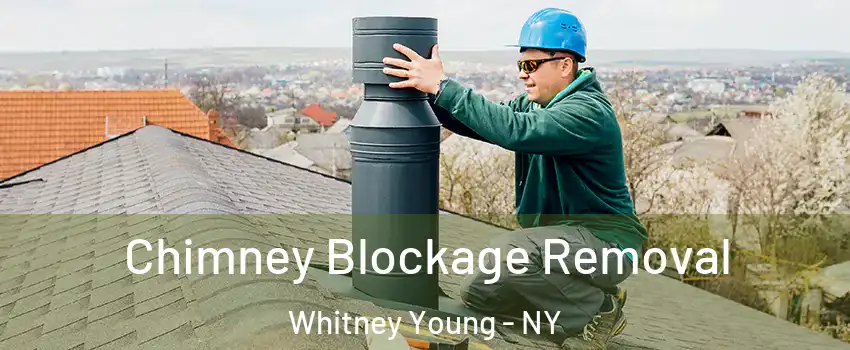 Chimney Blockage Removal Whitney Young - NY