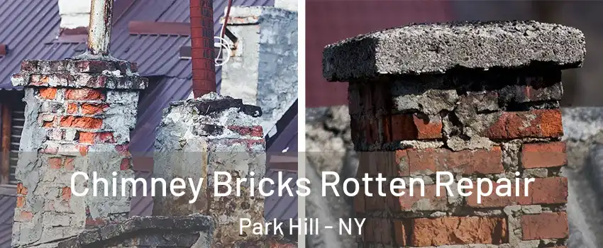 Chimney Bricks Rotten Repair Park Hill - NY