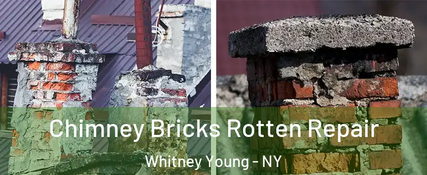 Chimney Bricks Rotten Repair Whitney Young - NY