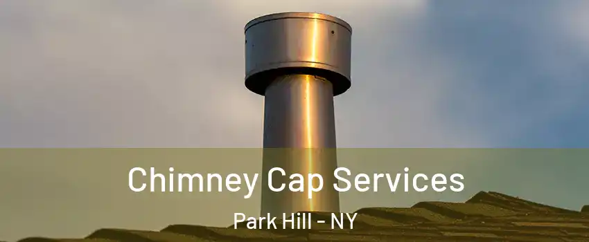 Chimney Cap Services Park Hill - NY