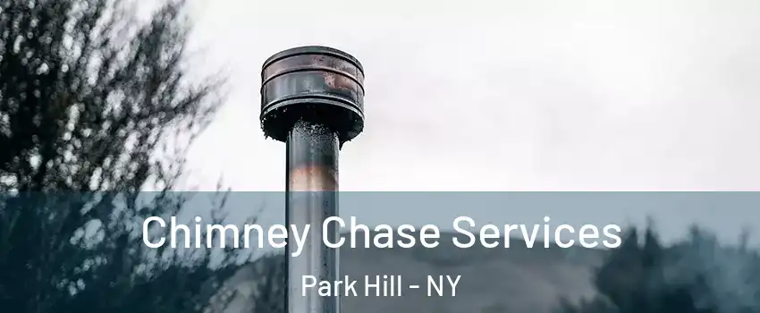 Chimney Chase Services Park Hill - NY