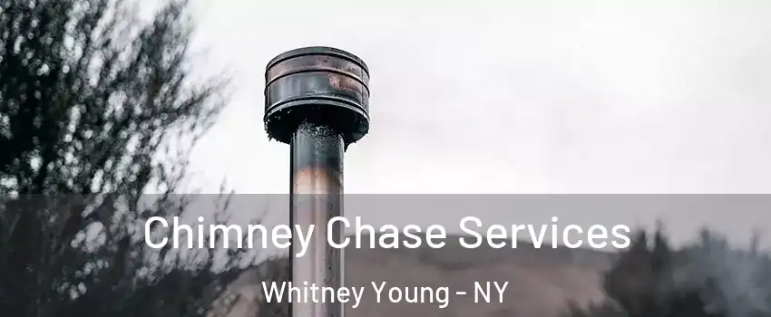 Chimney Chase Services Whitney Young - NY