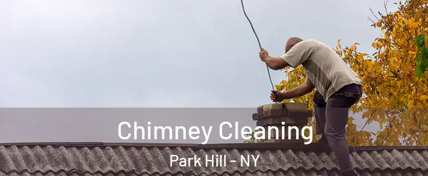 Chimney Cleaning Park Hill - NY