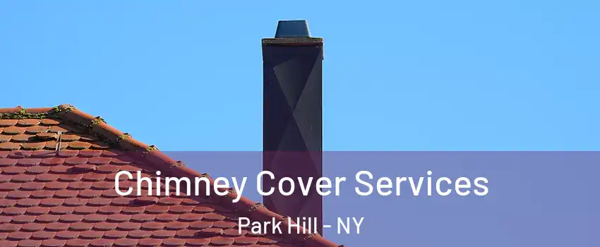 Chimney Cover Services Park Hill - NY
