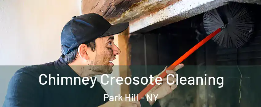 Chimney Creosote Cleaning Park Hill - NY