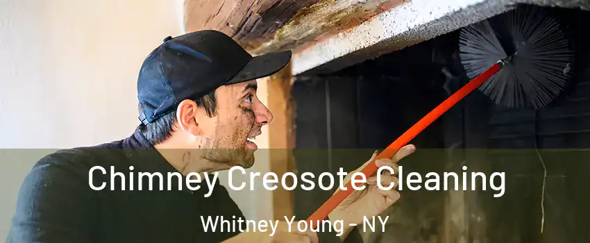 Chimney Creosote Cleaning Whitney Young - NY