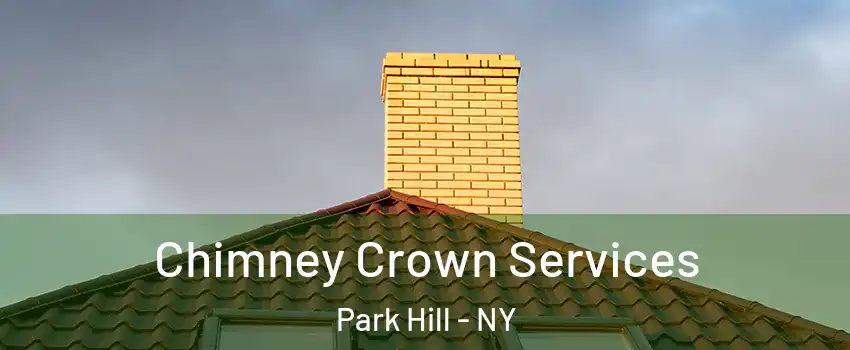 Chimney Crown Services Park Hill - NY