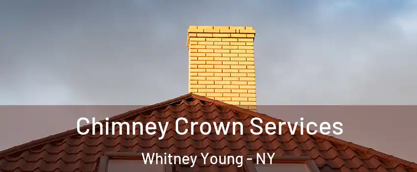 Chimney Crown Services Whitney Young - NY