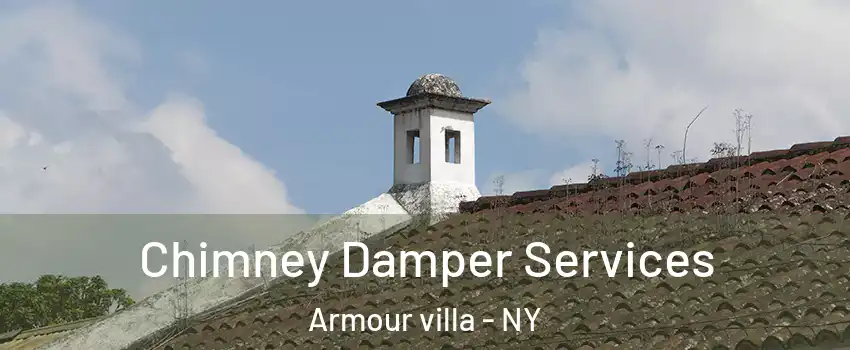 Chimney Damper Services Armour villa - NY