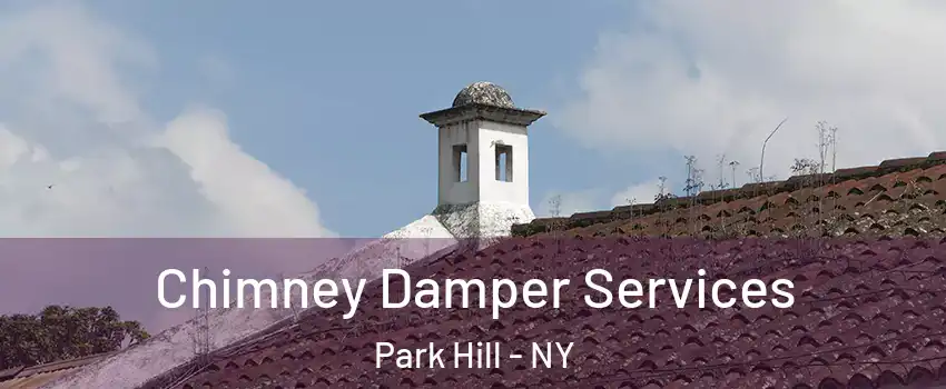 Chimney Damper Services Park Hill - NY