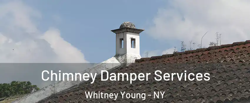 Chimney Damper Services Whitney Young - NY