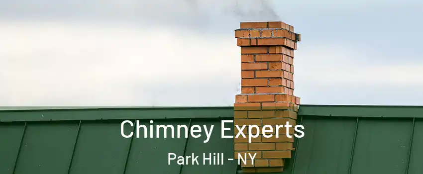 Chimney Experts Park Hill - NY