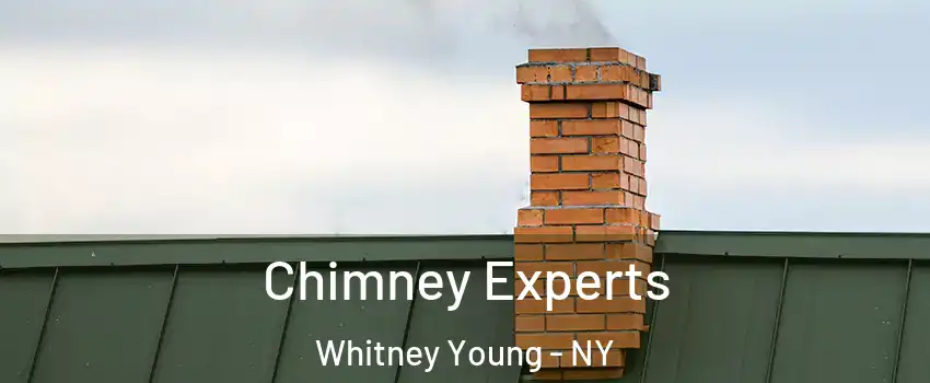 Chimney Experts Whitney Young - NY