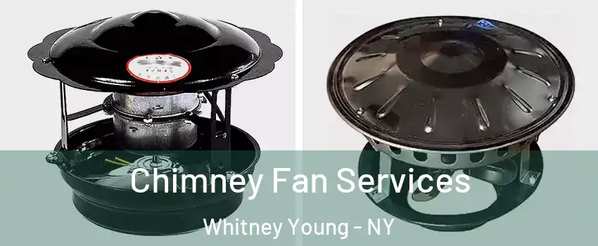 Chimney Fan Services Whitney Young - NY