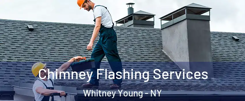 Chimney Flashing Services Whitney Young - NY