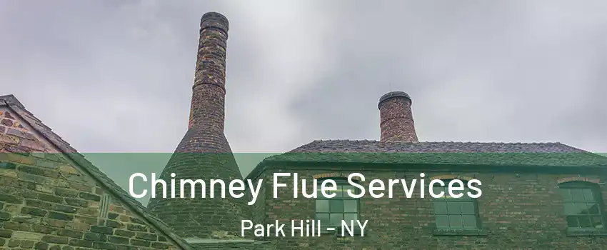 Chimney Flue Services Park Hill - NY