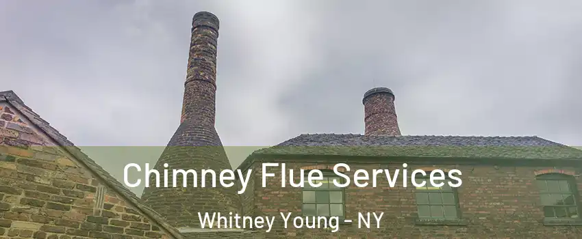 Chimney Flue Services Whitney Young - NY