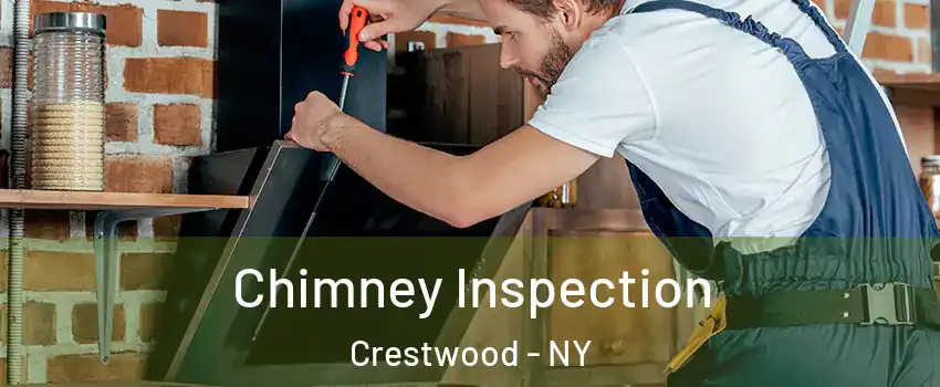Chimney Inspection Crestwood - NY