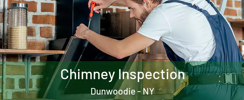 Chimney Inspection Dunwoodie - NY