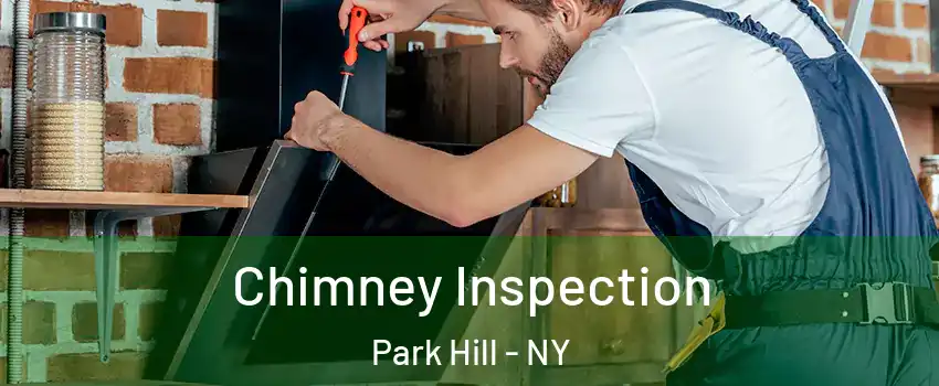 Chimney Inspection Park Hill - NY