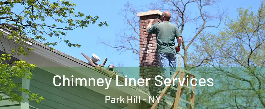 Chimney Liner Services Park Hill - NY