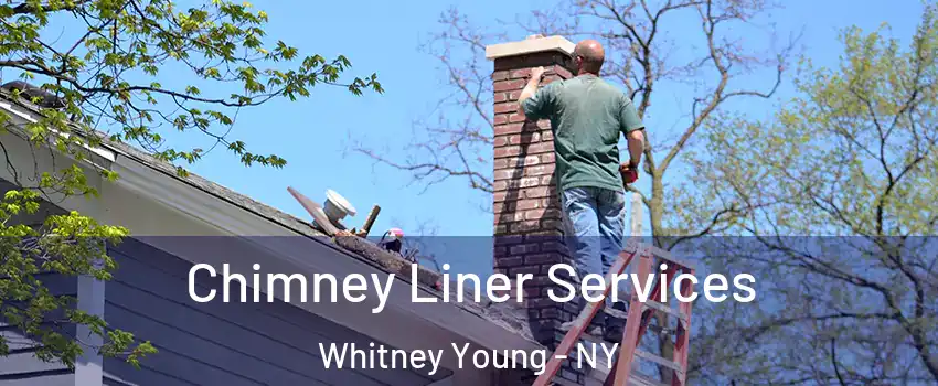 Chimney Liner Services Whitney Young - NY