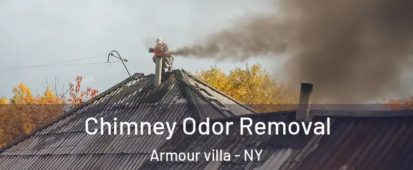 Chimney Odor Removal Armour villa - NY