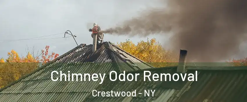 Chimney Odor Removal Crestwood - NY