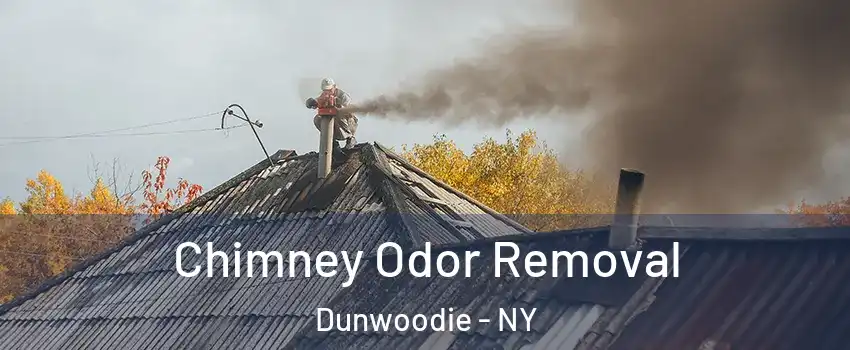 Chimney Odor Removal Dunwoodie - NY